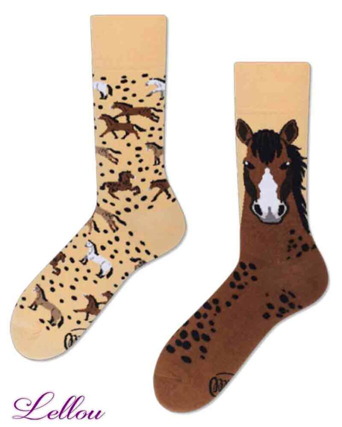 Chaussettes_MG-0001-WILHOR