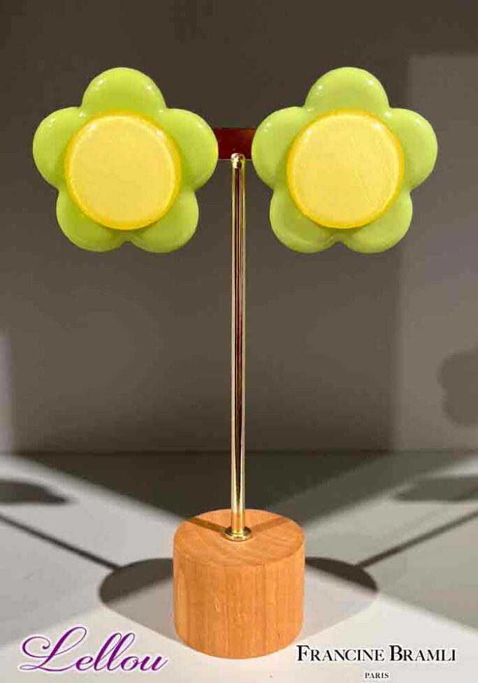 Boucles-D'Oreilles_FB-0330